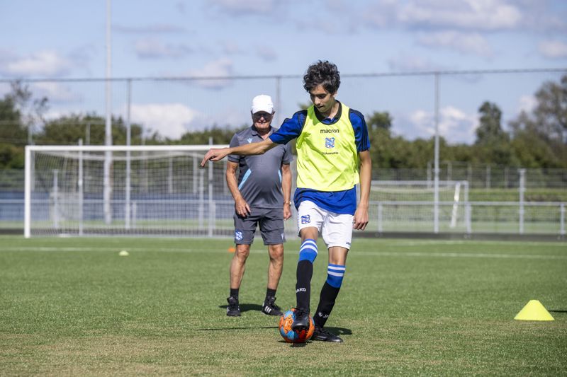 training12.jpg