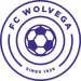 FC Wolvega JO15-1JM club