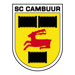 SC Cambuur Leeuwarden JO12-1 club