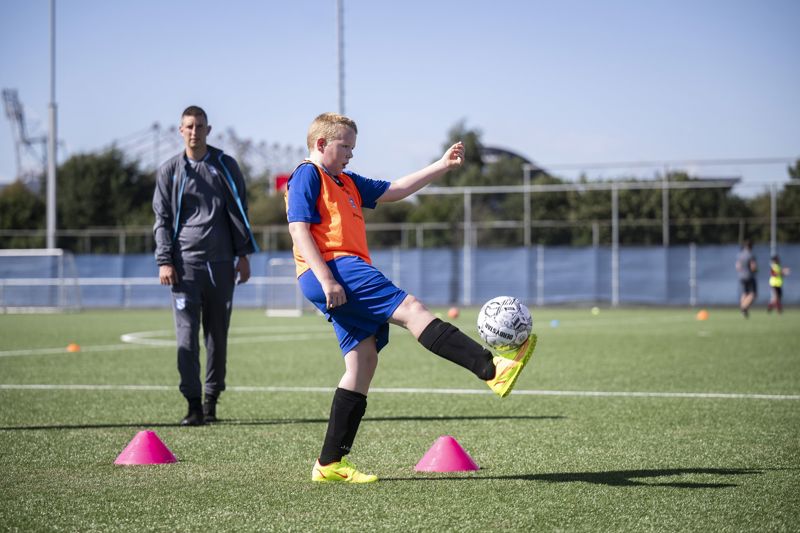 training6.jpg