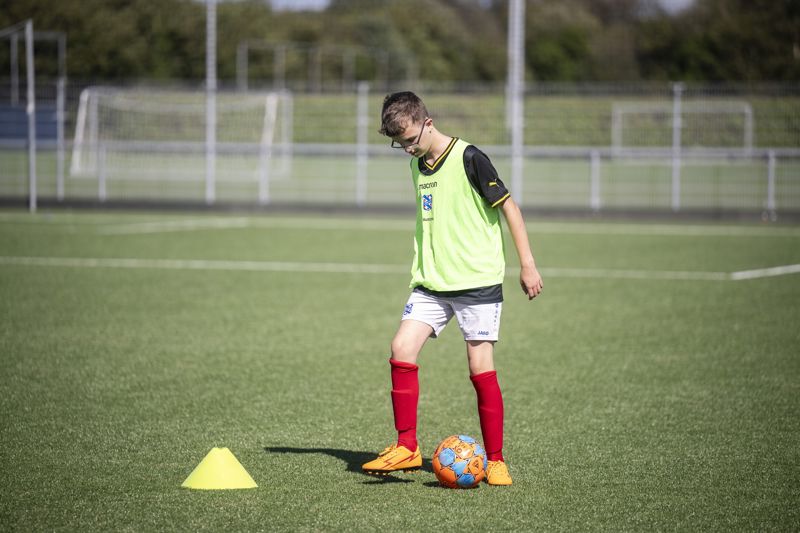 training4.jpg