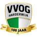 VVOG Harderwijk O17-1 club
